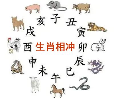 時辰沖生肖|今日冲什么生肖、今日生肖相冲查询、今日时辰对冲那个生肖要注。